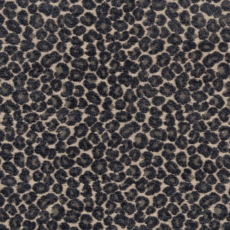 Charlotte - CB900-33 - Fabric by the Yard CB900-33