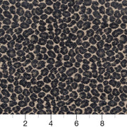 Charlotte - CB900-33 - Fabric by the Yard - CB900-33 - CB900-33_Ruler