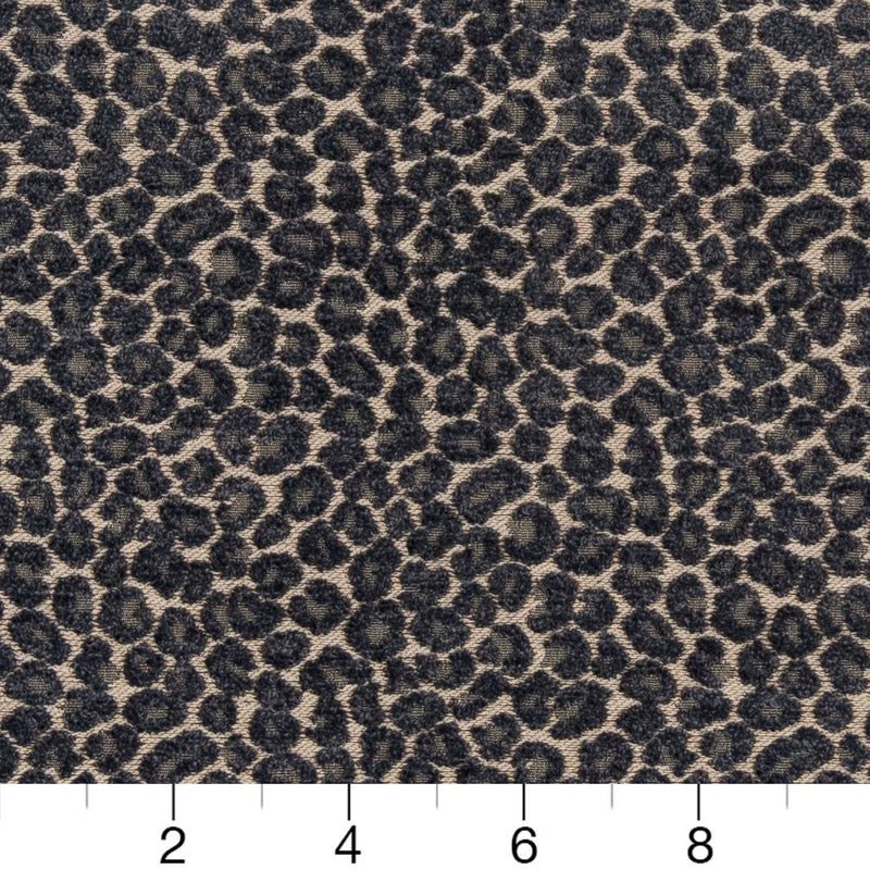 Charlotte - CB900-33 - Fabric by the Yard - CB900-33 - CB900-33_Ruler
