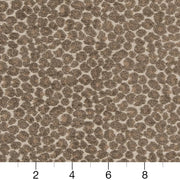 Charlotte - CB900-34 - Fabric by the Yard - CB900-34 - CB900-34_Ruler