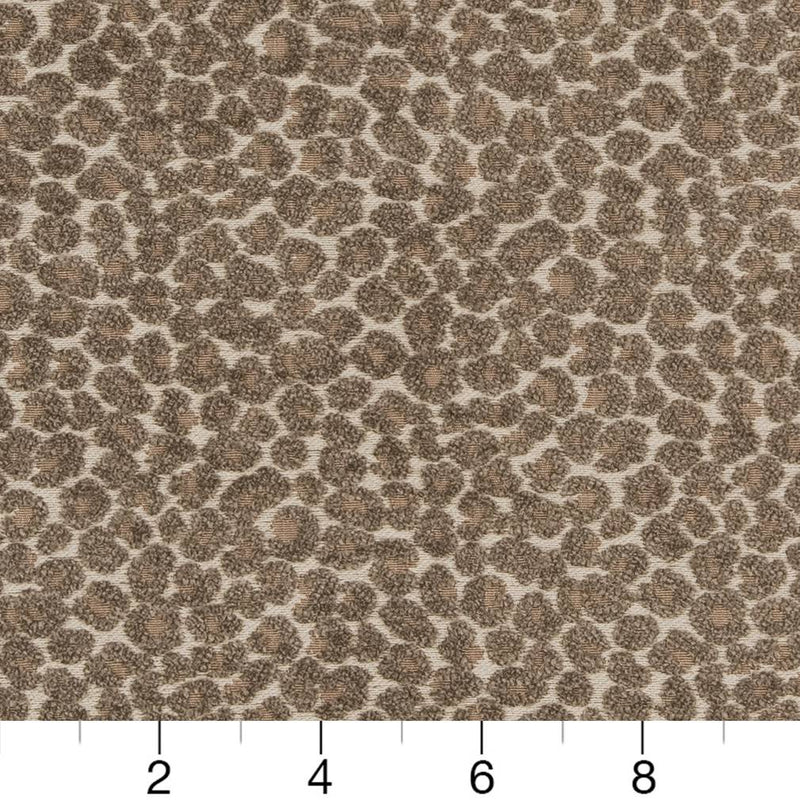 Charlotte - CB900-34 - Fabric by the Yard - CB900-34 - CB900-34_Ruler