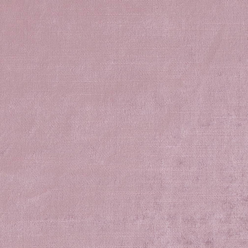 Charlotte - CB900-46 - Fabric by the Yard CB900-46
