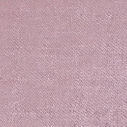 Charlotte - CB900-46 - Fabric by the Yard CB900-46