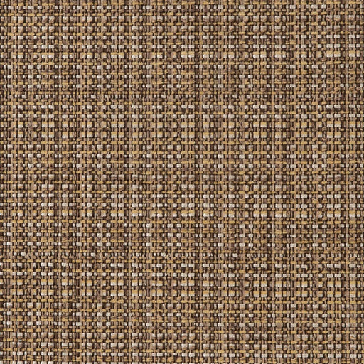Charlotte - CB900-55 - Fabric by the Yard CB900-55