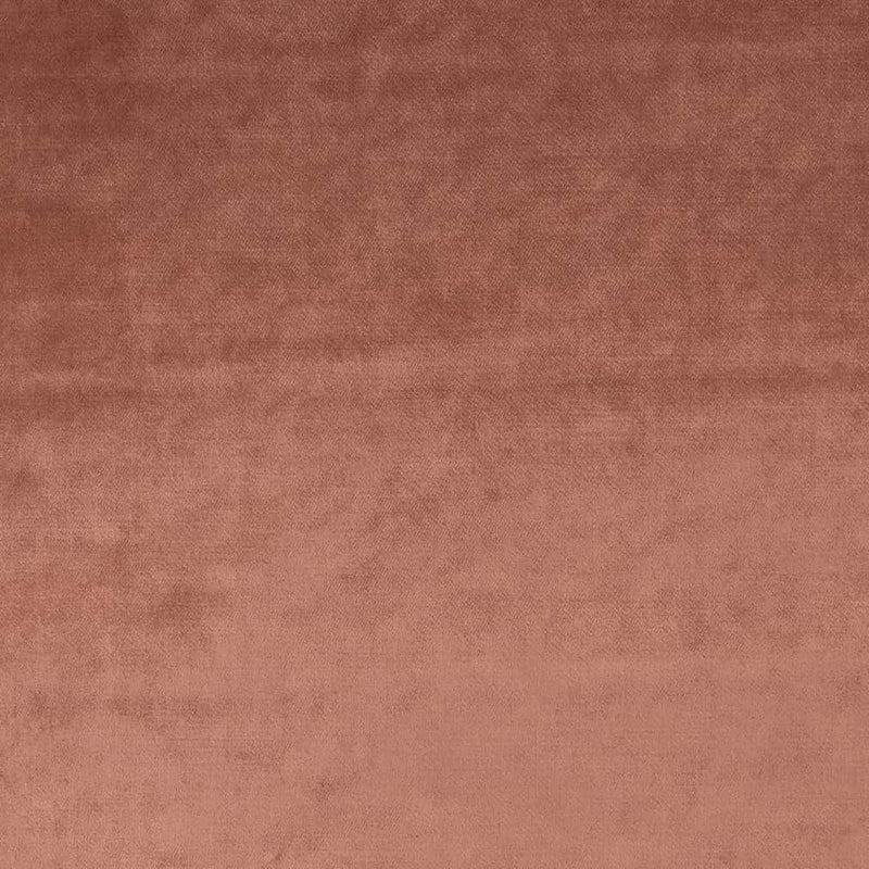 Charlotte - CB900-64 - Fabric by the Yard CB900-64
