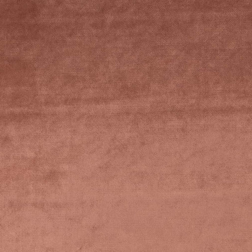 Charlotte - CB900-64 - Fabric by the Yard CB900-64