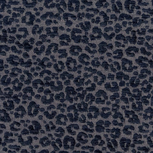 Charlotte - CB900-84 - Fabric by the Yard CB900-84