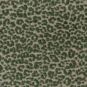 Charlotte - CB900-99 - Fabric by the Yard CB900-99