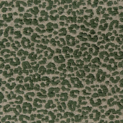 Charlotte - CB900-99 - Fabric by the Yard CB900-99