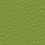 Maxwell - CLASSIC(CONTRACT VINYL) - SCALLION - Fabric by the Yard