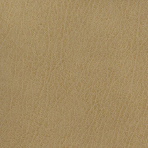 KRAVET BASICS - KRAVET BASICS- CELINE-106 - Fabric by the Yard CELINE-106