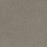 KRAVET BASICS - KRAVET BASICS- CELINE-11 - Fabric by the Yard