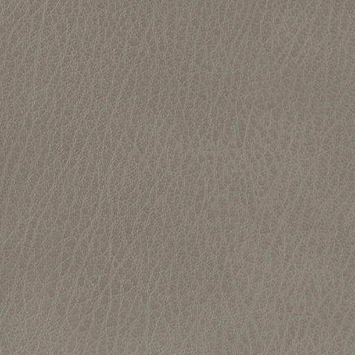 KRAVET BASICS - KRAVET BASICS- CELINE-11 - Fabric by the Yard CELINE-11
