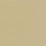 Maxwell - CATALYST-NJ - GESSO - Fabric by the Yard