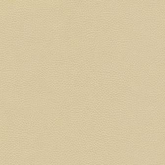 Maxwell - CATALYST-NJ - MARZIPAN - Fabric by the Yard