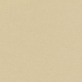Maxwell - CATALYST-NJ - MARZIPAN - Fabric by the Yard
