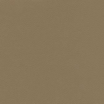Maxwell - CATALYST-NJ - CHINCHILLA - Fabric by the Yard