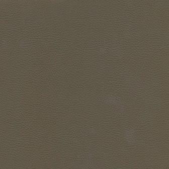 Maxwell - CATALYST-NJ - FUNGI - Fabric by the Yard