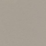 Maxwell - CATALYST-NJ - CASTOR - Fabric by the Yard