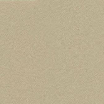 Maxwell - CATALYST-NJ - SAHARA - Fabric by the Yard