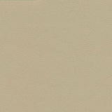 Maxwell - CATALYST-NJ - SAHARA - Fabric by the Yard