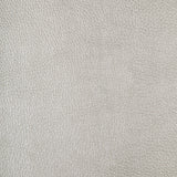 KRAVET DESIGN - KRAVET DESIGN- CHROME-11 - Fabric by the Yard