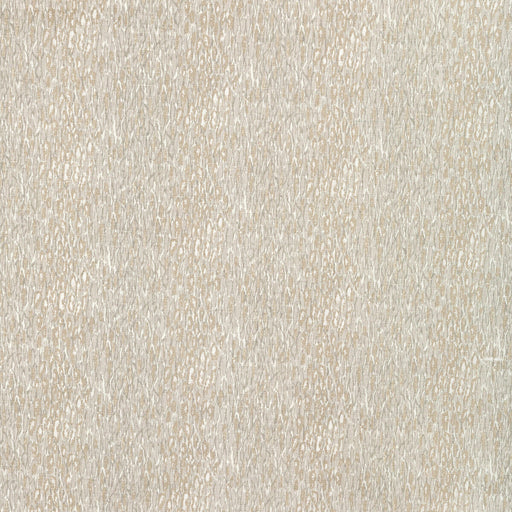 KRAVET BASICS - CHROMIS- OYSTER - Fabric by the Yard OYSTER