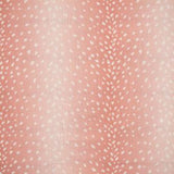 Maxwell - CHITAL - AZALEA - Fabric by the Yard