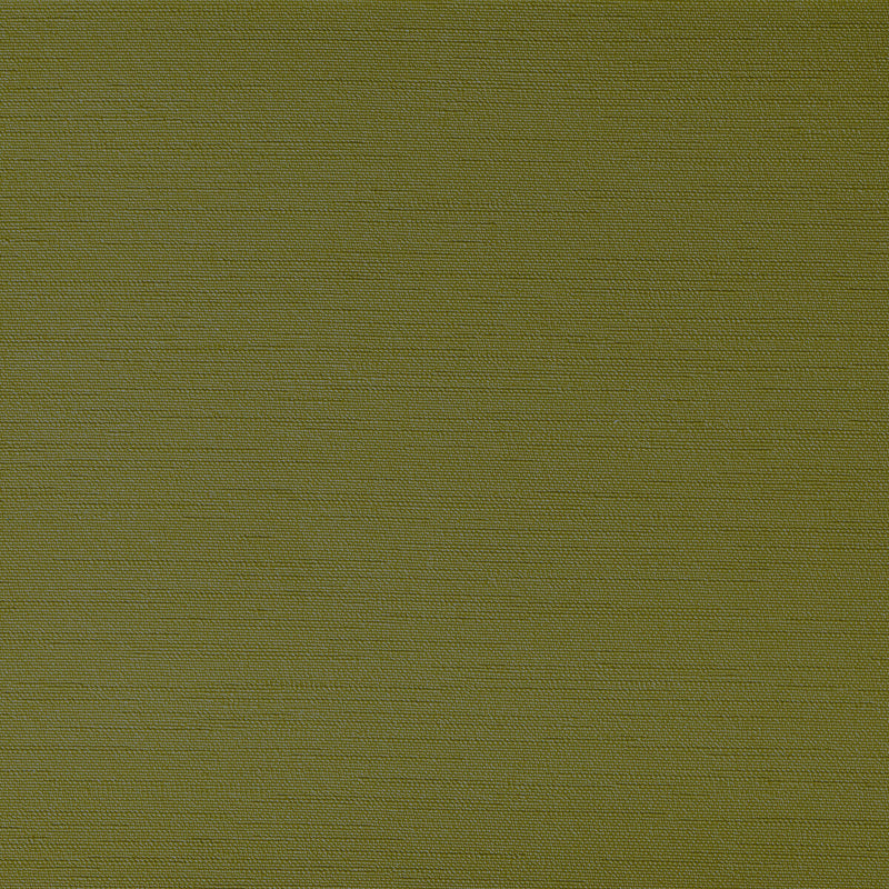 KRAVET CONTRACT - CLUTCH- GRASSHOPER - Fabric by the Yard GRASSHOPER