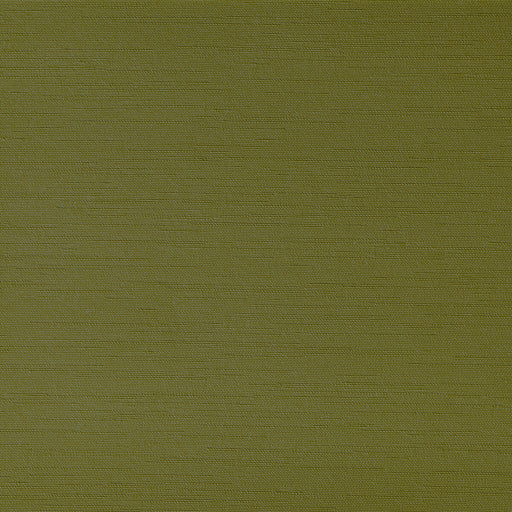KRAVET CONTRACT - CLUTCH- GRASSHOPER - Fabric by the Yard GRASSHOPER