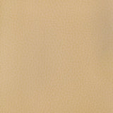 KRAVET DESIGN - KRAVET DESIGN- CONNECT-16 - Fabric by the Yard