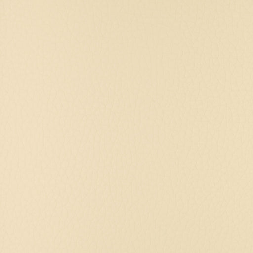 KRAVET DESIGN - CONNECT - Fabric By the Yard