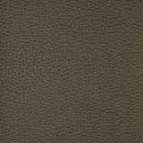 KRAVET DESIGN - KRAVET DESIGN- CONNECT-21 - Fabric by the Yard