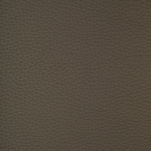 KRAVET DESIGN - KRAVET DESIGN- CONNECT-21 - Fabric by the Yard CONNECT-21