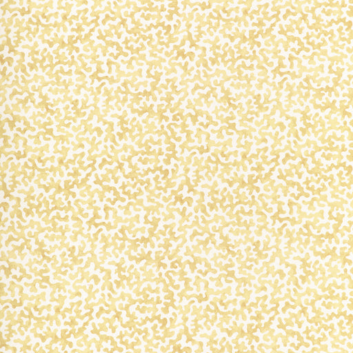 KRAVET BASICS - CORALCOAST - Fabric By the Yard