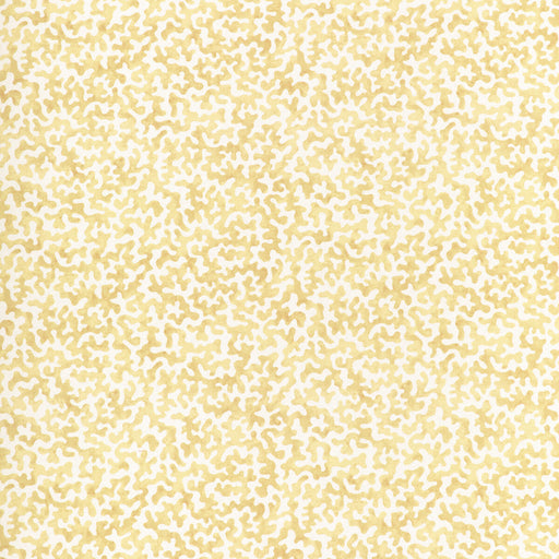 KRAVET BASICS - CORALCOAST- CORNSILK - Fabric by the Yard CORNSILK
