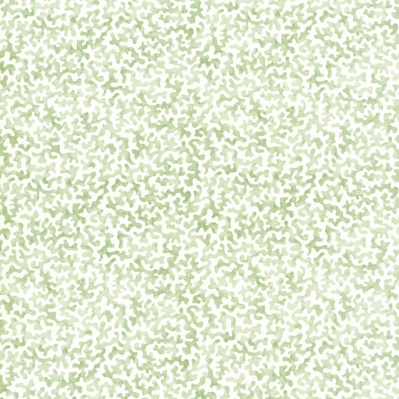 KRAVET BASICS - CORALCOAST- SAGE - Fabric by the Yard SAGE