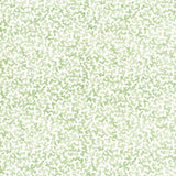 KRAVET BASICS - CORALCOAST- SAGE - Fabric by the Yard