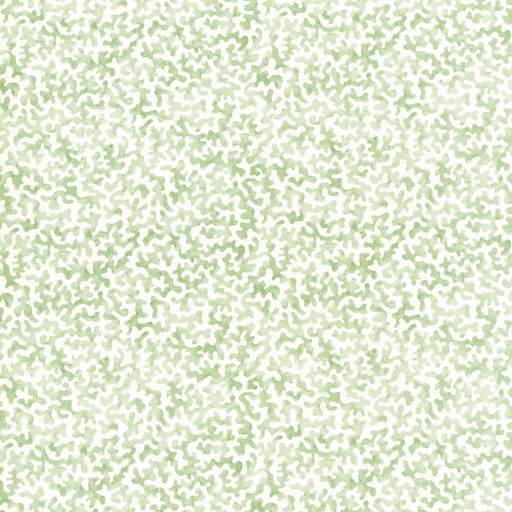 KRAVET BASICS - CORALCOAST- SAGE - Fabric by the Yard SAGE