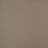 KRAVET DESIGN - KRAVET DESIGN- CRISP-11 - Fabric by the Yard