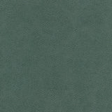 KRAVET DESIGN - KRAVET DESIGN- CURED-35 - Fabric by the Yard