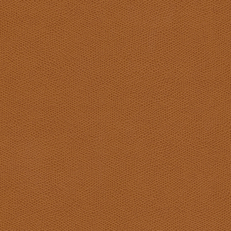 KRAVET DESIGN - KRAVET DESIGN- CURED-6 - Fabric by the Yard CURED-6