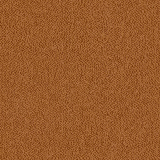 KRAVET DESIGN - CURED - Fabric By the Yard