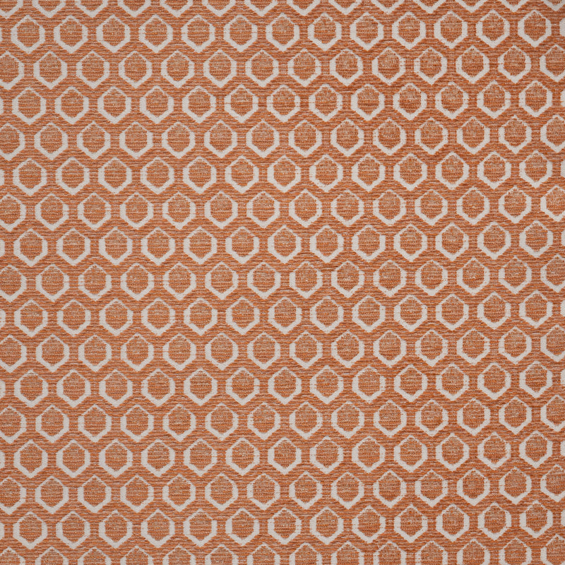 Maxwell - CADBORO - CARNATION - Fabric by the Yard