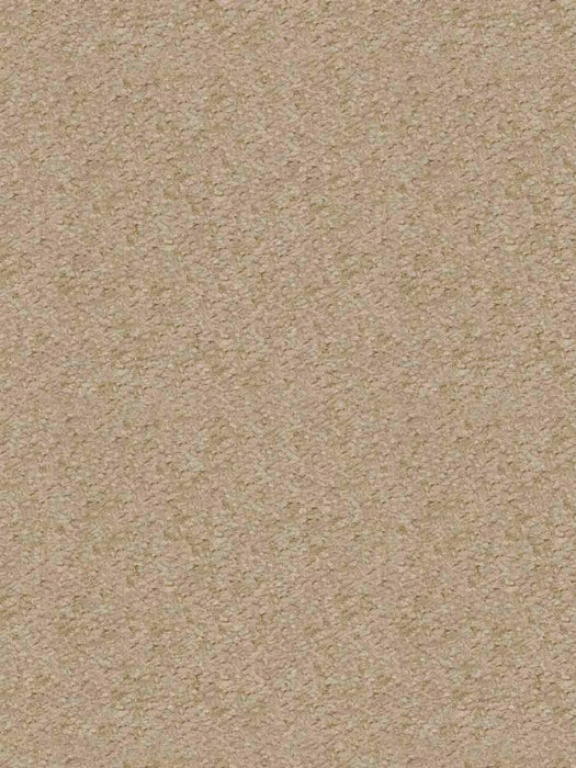 FTS-00535 - Fabric By The Yard - Samples Available by Request - Fabrics and Drapes