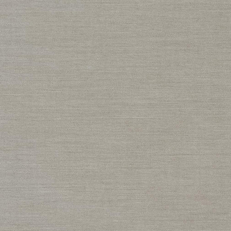 Charlotte - D1011 - Zinc - Fabric by the Yard Zinc