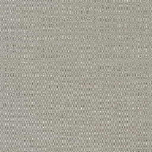 Charlotte - D1011 - Zinc - Fabric by the Yard Zinc