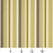 Charlotte - D1014 - Lemon - Fabric by the Yard - D1014 - D1014_Ruler