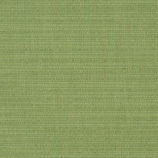 Charlotte - D1015 - Basil - Fabric by the Yard Basil