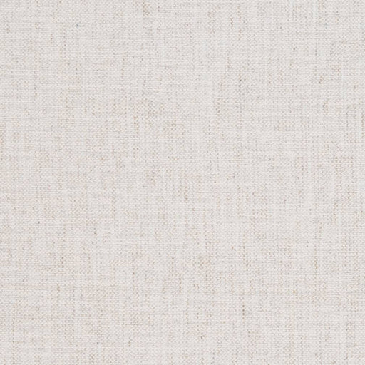 Charlotte - D1070 - Cream - Fabric by the Yard Cream